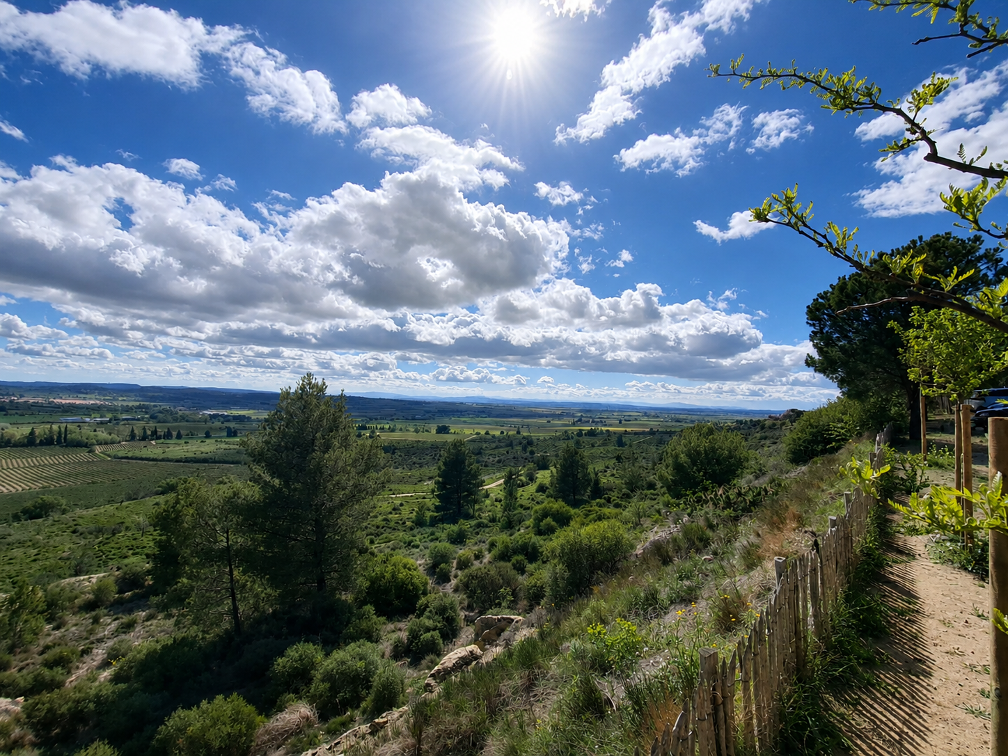 Vue panoramique depuis l'oppidum d'Ensérune sur la plaine languedocienne