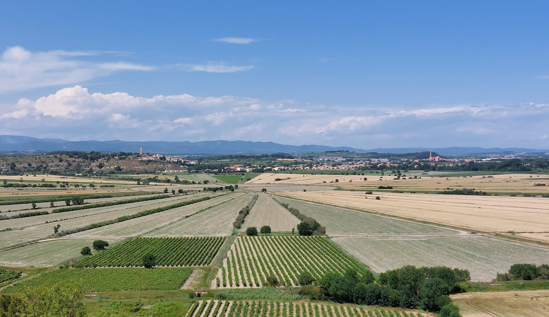 Étang asséché de Montady vu depuis l'oppidum d'Ensérune — parcelles en éventail